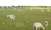 Tocht Te voet Unknown - Saint Cuthbert's Way (Kirk Yetholm to Lindisfarne) - Photo 4