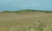 Tocht Stappen Sangatte - CANI-RADO TOUR (boucle Cap Blanc nez) - Photo 2