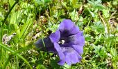 Trail Walking Les Adrets - LE GROS CAILLOU PAR LA COLONIE - Photo 20