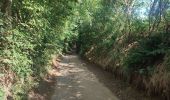 Trail Walking Halen - Loksbergen - Photo 12