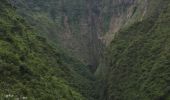 Excursión Senderismo Saint-Denis - Cascade Chaudron  - Photo 10