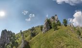 Tocht Te voet Mandello del Lario - Sentiero 5 - Crebbio - Piani Resinelli - Photo 6