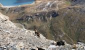 Randonnée Marche Tignes - Sassiere - Photo 3