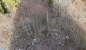 Excursión Senderismo Proveysieux - Aiguille de Quaix - Photo 17