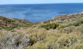 Trail Walking Port-Vendres - port vendre . cap bear / retour  - Photo 10