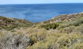 Tour Wandern Port-Vendres - port vendre . cap bear / retour  - Photo 10