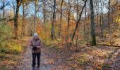 Trail Walking Fontainebleau - aaaa - Photo 1