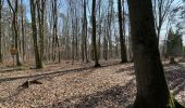 Trail Walking Leuven - Kessel -Lo - Photo 16