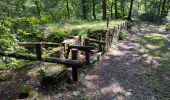 Tour Wandern Hohenfels - Sandrine: le hérou et le chesle  - Photo 11