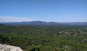 Tocht Stappen Tourves - Gorges du Caramy - Photo 1