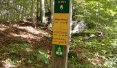 Trail Walking Château-Bernard - tête des chaudières et rocher de la Balme  - Photo 1