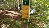 Tocht Stappen Château-Bernard - tête des chaudières et rocher de la Balme  - Photo 1