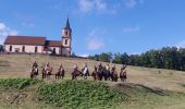 Trail Horseback riding Saint-Pierre-Bois - 2022-09-11 Picnic CVA St Gilles Bernstein Ortenbourg - Photo 4