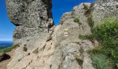 Tocht Stappen Mont-Dore - LE PUY DE SANCY PAR LE VAL DE COURRE ET LA TETE DE FLON  - Photo 10