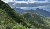 Excursión Senderismo Buenavista del Norte - PR TF59 Mirador Cruz de Hilda -Masca  - Photo 5