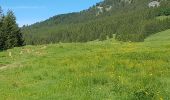 Tocht Stappen Fillière - ronceveau au col du freu 24 juin 19 - Photo 1