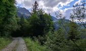 Trail Walking Laval-en-Belledonne - PETITE RANDONNEE AU DEPART DU PONT DE LA BETTA  - Photo 5