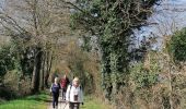 Trail Walking Tonnay-Charente - tonnay  Charente  - Photo 10