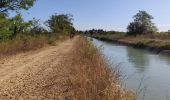 Tour Wandern Nîmes - Régordane 9 - Nîmes-St Gilles - Photo 9