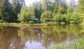 Tocht Stappen Ramonchamp - Ferdrupt / Les etangs noirs / Chalet Grammont / Chalet de l'alouette  - Photo 12