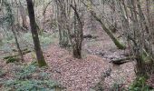 Trail Walking Cardeilhac - arboretum de cardeilhac  - Photo 3
