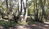 Tour Wandern Ferrières - Rouge Minières ac  - Photo 1