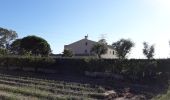 Excursión A pie Cornellà de Llobregat - Agricultura al Delta del Llobregat - Photo 10