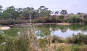 Percorso A piedi Quelfes - 6.1:Centro de Interpretación del Parque Natural da Ria Formosa.-... - Photo 3