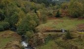 Trail Walking Sewen - Ballon d'Alsace - Lac d'Alfed et sa cascade - Col du Bonhomme - Ballon d'Alsace - Photo 7