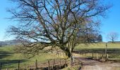 Trail Walking Bouillon - Rochehaut 110124 - Photo 20