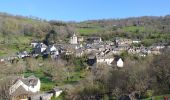 Tocht Stappen Saint-Chély-d'Aubrac - Compostelle St chely St come d'olt - Photo 16