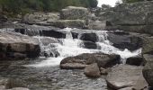 Tour Wandern Pont de Montvert - Sud Mont Lozère - Pont Lozère versant sud : beal de Felgerolles Pont du Tarn  - Photo 11