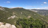 Trail Walking Le Revest-les-Eaux - Le Mont Caume  - Photo 5