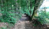 Trail Walking Sainte-Ode - Transforestiere 2 - Photo 13