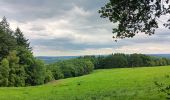 Trail Walking Theux - entre la ferme st Remacle et Hodbomont - Photo 20