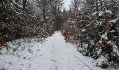 Trail Walking Sainte-Ode - rando lavacherie 29/12/2020 - Photo 11