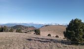 Trail Walking Châtillon-en-Diois - le sommet serre du beau puy - Photo 19