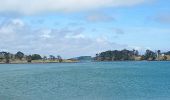 Tour Wandern Arzon - Port Navallo - Photo 1