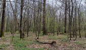 Trail Walking Chimay - tour du lac de virelle - Photo 16