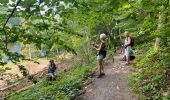 Trail Walking Houffalize - Les deux Ourthes au départ de Filly - Photo 16