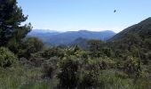 Randonnée Marche Nyons - Montagne de Vaux - Photo 4