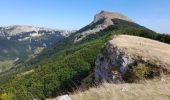 Tour Wandern Omblèze - Plateau d Ambel - Photo 11