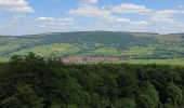 Tour Zu Fuß Ehrenberg - Reulbach Rundwanderweg 12 - Photo 8