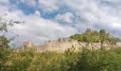 Trail Walking Saint-Péray - balcon et chÃ¢teau de Crussol, aller via versant RhÃ´ne et Vercors / retour via versant Ardeche - Photo 17