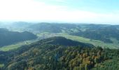 Randonnée A pied Gutach im Breisgau - Bleibach - Rohrhardsberg - Photo 8