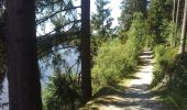 Randonnée Marche Butgenbach - Tour du lac de Butgenbach - Photo 13