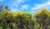 Tour Wandern Saint-Bonnet-du-Gard - mon 8 du pont du Gard  - Photo 1