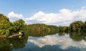 Percorso A piedi Waimes - Barrage : Warche - Walk - Photo 1