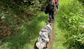 Trail Walking Habay - Mageroy ADEPS 2022 10 km - Photo 7