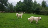Trail Walking Ogeu-les-Bains - Gr78 fait  - Photo 3